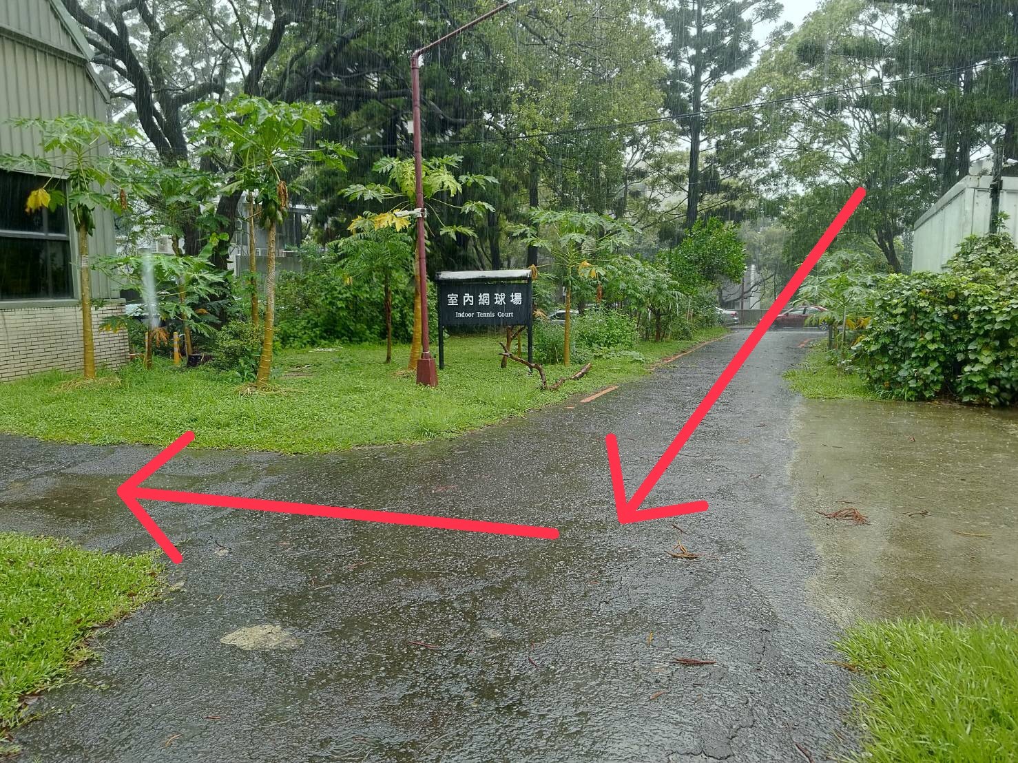 圖三